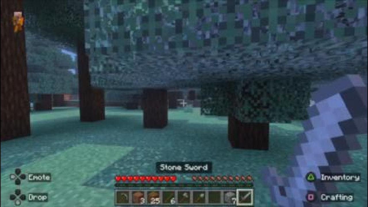 How to  play MineCraft