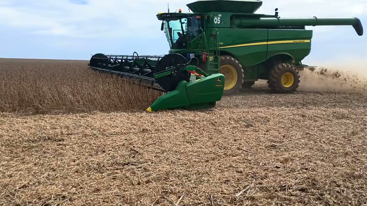 Deu bom a colleita ainda .agro mt