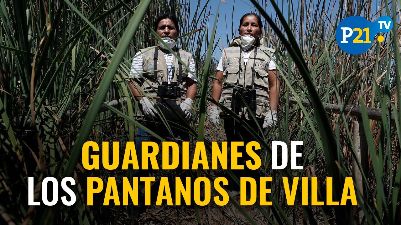 Los guardianes de los Pantanos de Villa en tiempos de pandemia