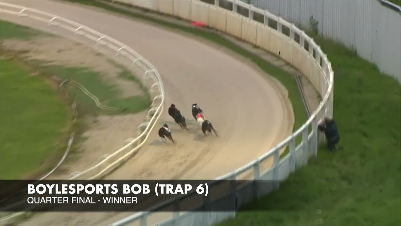 BOYLESPORTS BOB (Trap 6) 