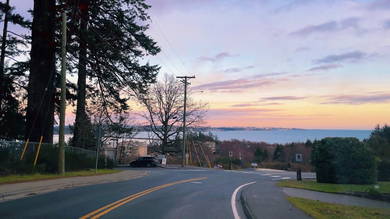 4K | Drive around the Esquimalt Lagoon Migratory Bird Sanctuary