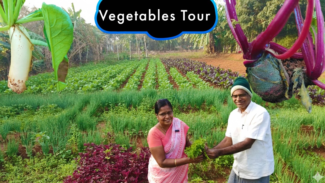 🍆🥕🫑NEW Vegetables Tour பாப்போம் | Tour | Farm Vlogs