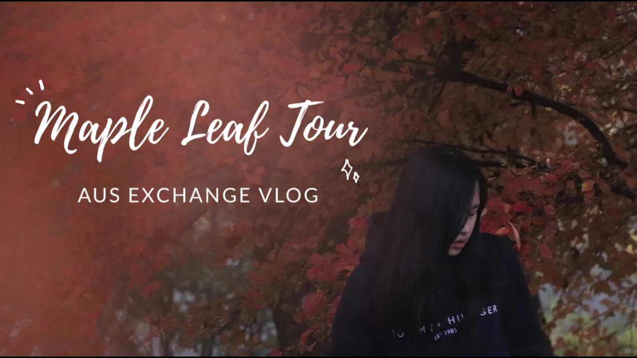 【Australia】藍山植物園秋季賞楓🍁｜Maple Leaf Tour Vlog｜澳洲交換