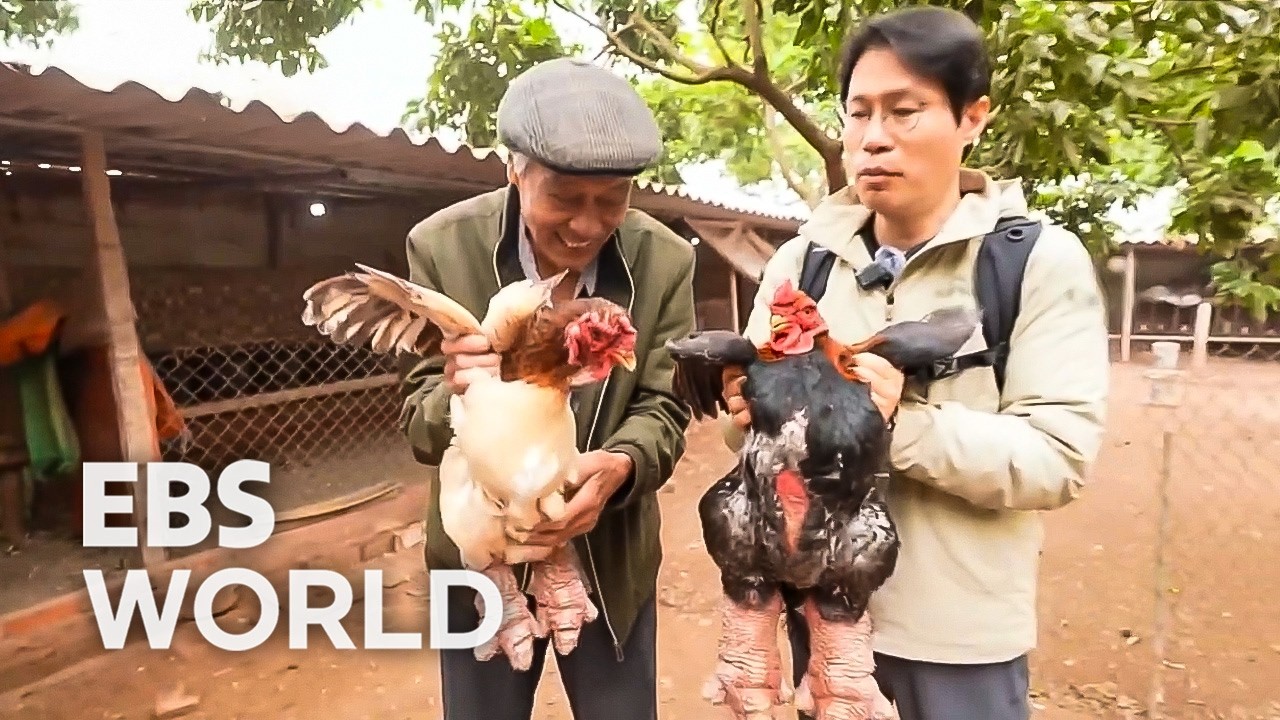 [ENG SUB] Giant Dragon Chicken Feet Vietnam’s Rare Royal Delicacy #PICKDOCU