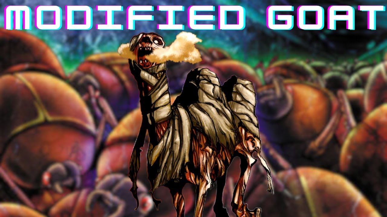 FIRST PLACE PACMAN | Modified Goat Format