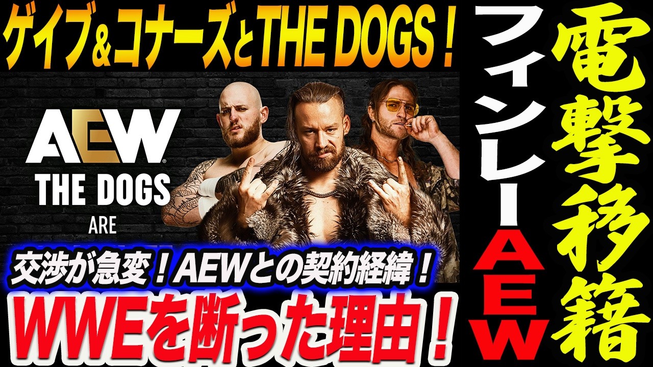 電撃移籍！フィンレーAEW入り！ゲイブ＆コナーズとTHE DOGS結成！WWEを断った理由！交渉が急変！AEWとの契約経緯！新日本プロレス njpw njcup