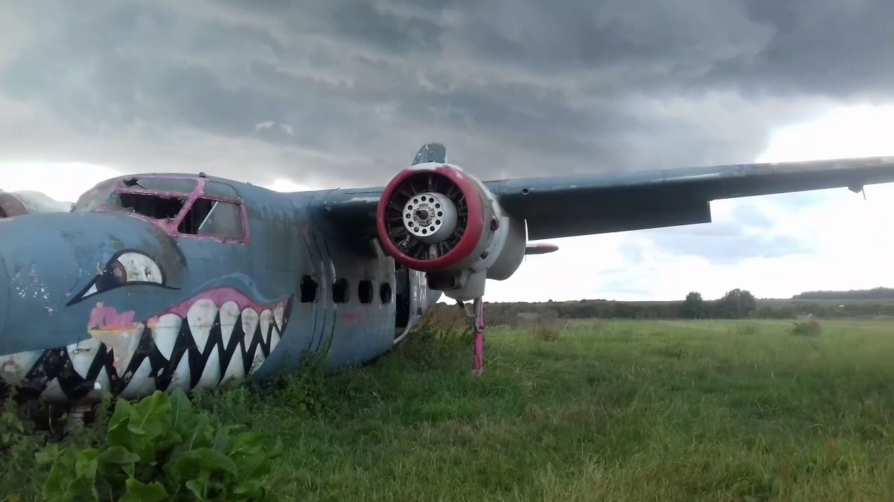 Cool Shark Art on the old plane