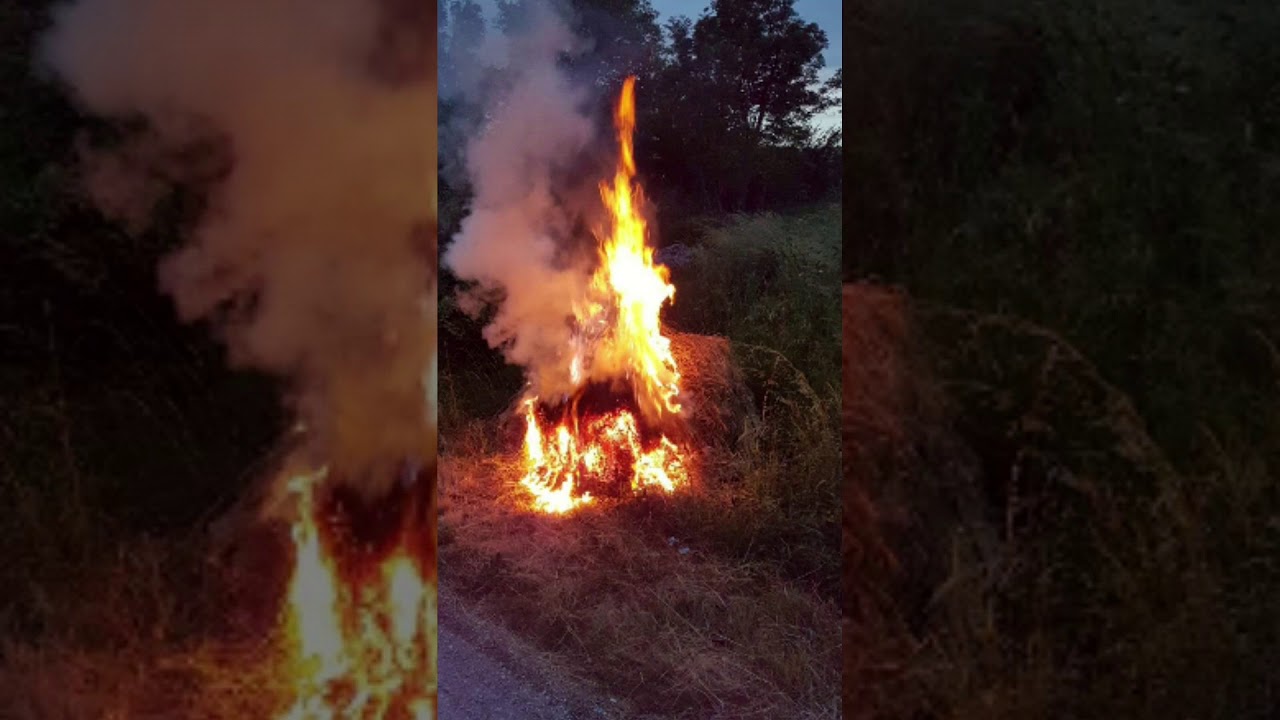 Moje Rakitno - Ivica Bago