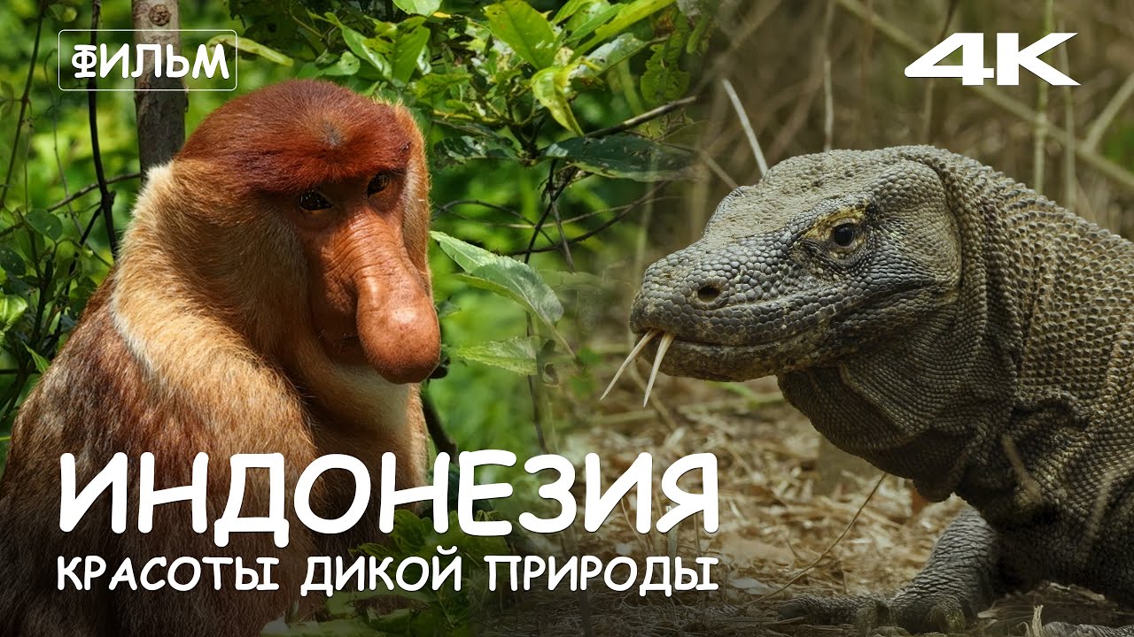 Мир Приключений - Фильм: 
