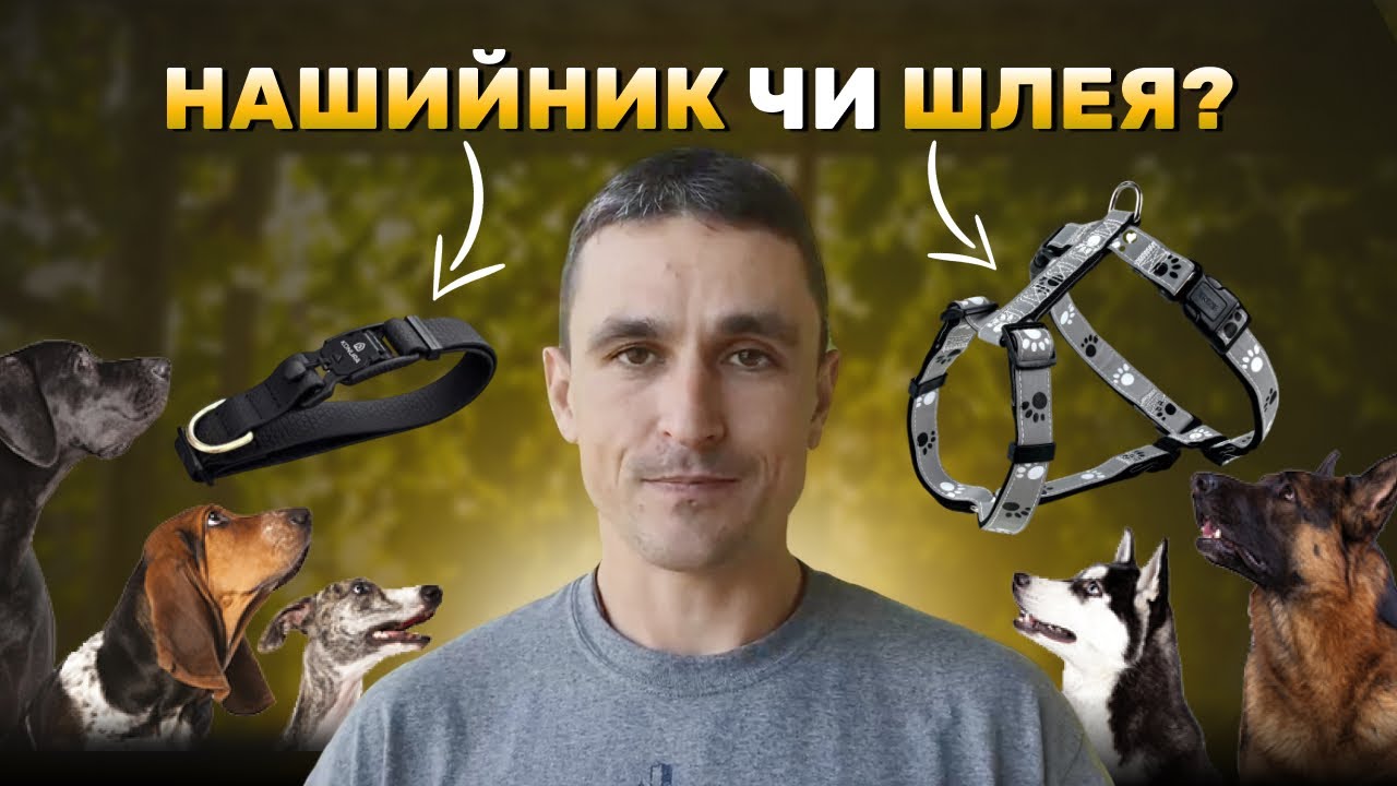 Нашийник чи Шлея