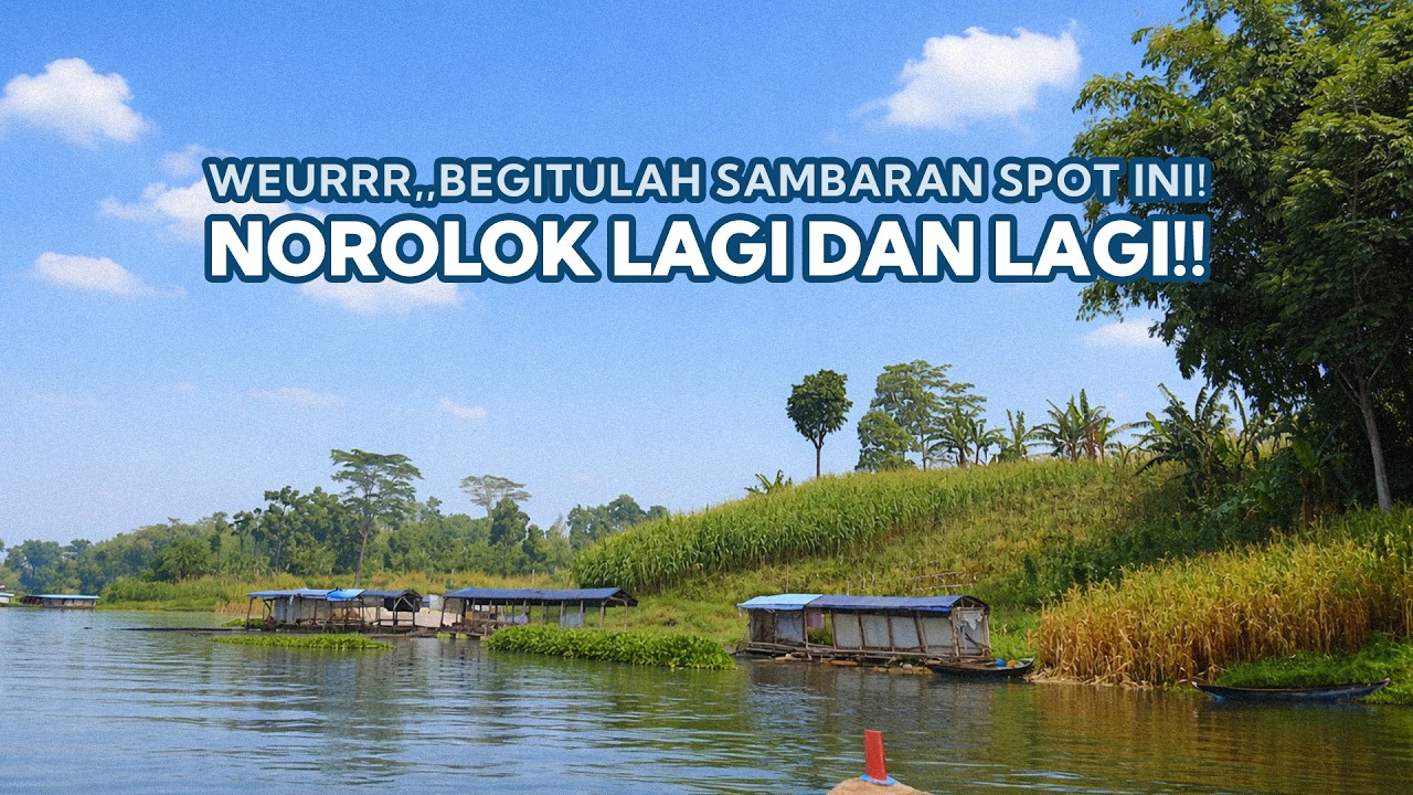 WEURRR!! Sambaran Brutal Datangnya Kayak Petir⚡ - Mancing Saguling Terbaru 2026&nbsp;#89