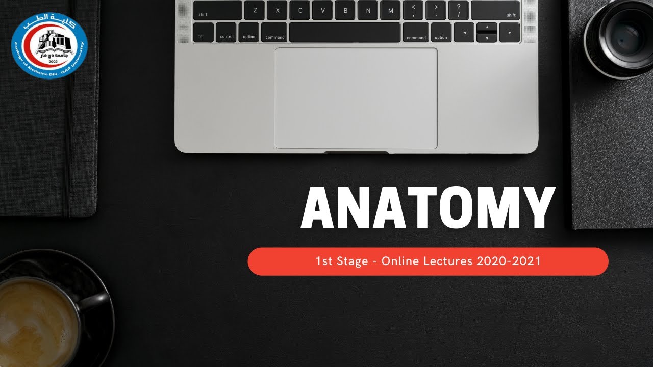 Anatomy - Bones of Upper Limb. Part 1  / د. خالد علي زاير