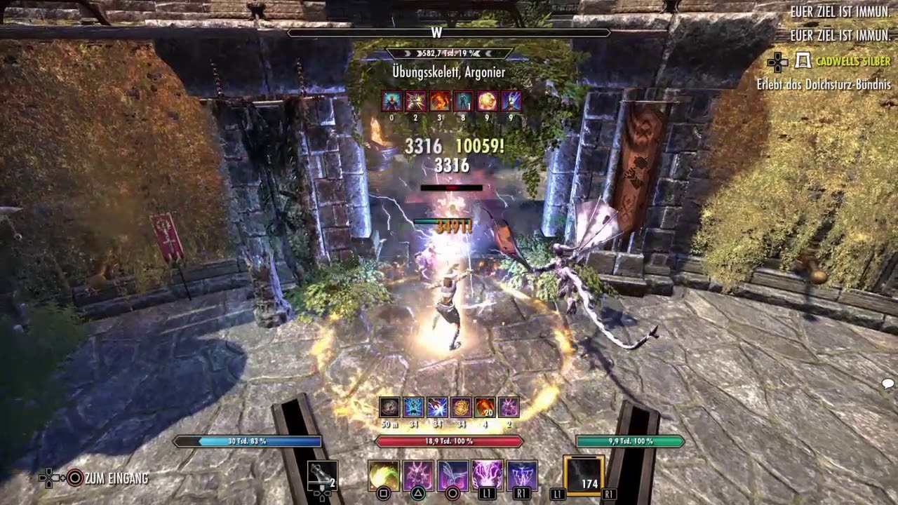 PetSorc 40K+*