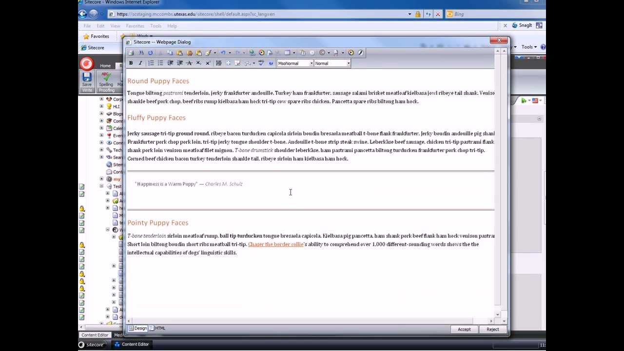 Sitecore Content Editor: Text Build
