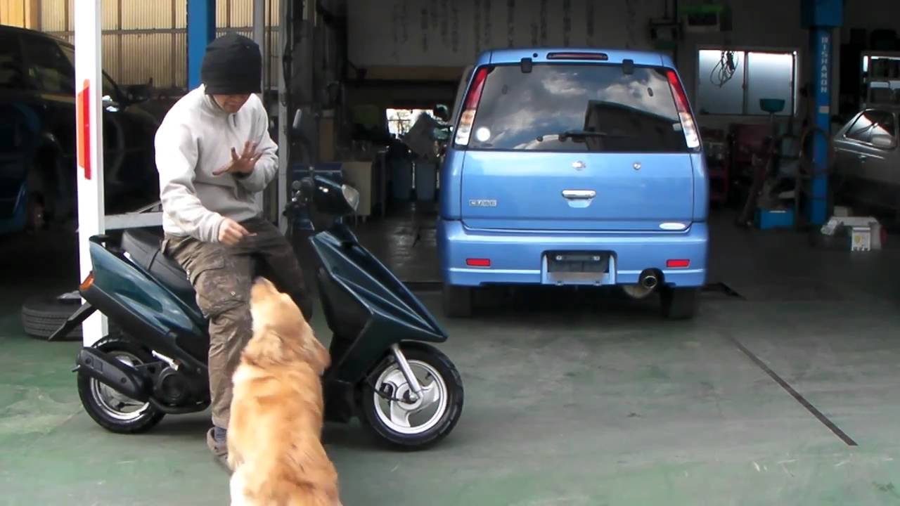 アクシス　AXIS90　参考動画