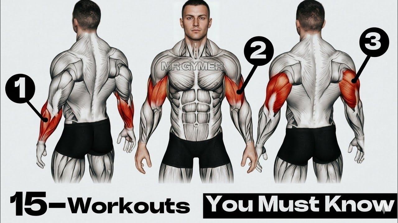 Ultimate Arm Day: 15 Best Exercises for Biceps, Triceps & Forearms