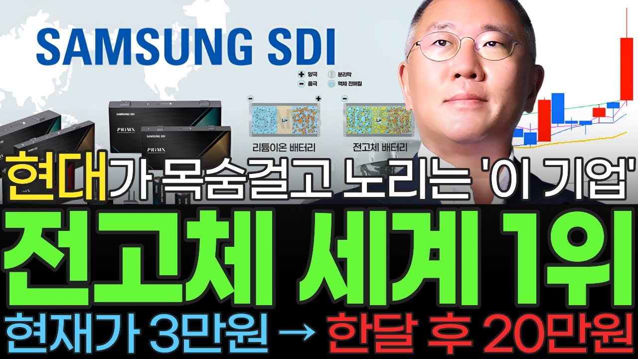 [주식] 현대가 목숨 걸고 노리는 삼성의 전세계 전고체 배터리 시장 접수한 국내 1위 '이 기업' LG SK 테슬라 도 주목한 2026 대장주 '이 종목' 꼭 사모으세요 [불사개]