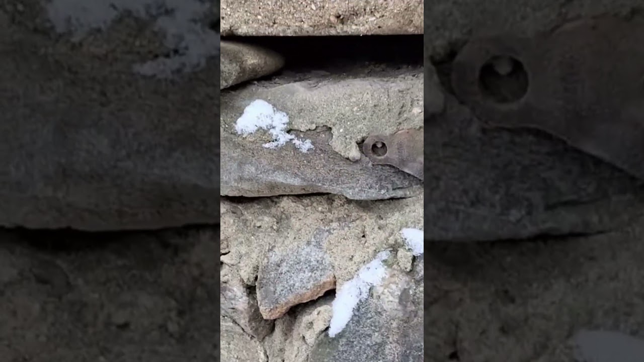 Разные места... результаты те же.
