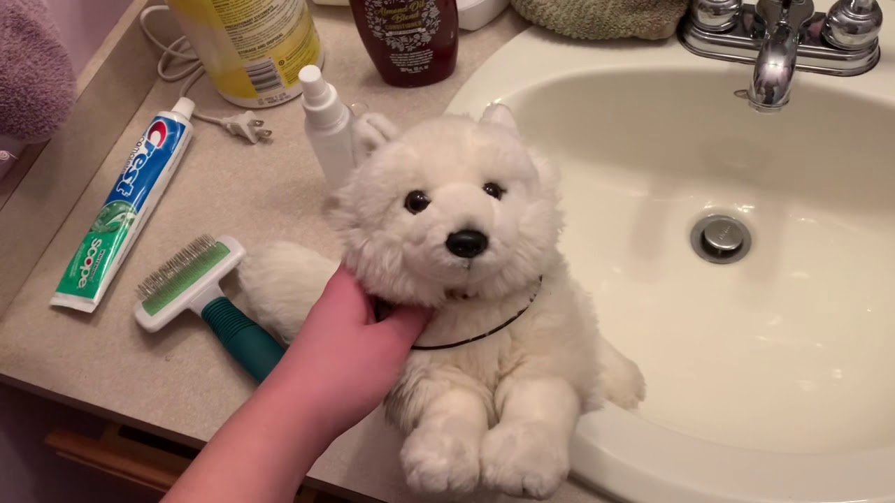 How to fix dryer fur