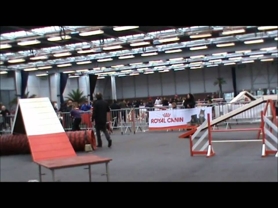 Concours Agility Lisieux - 20/02/11 - B&eacute;do & Audrey