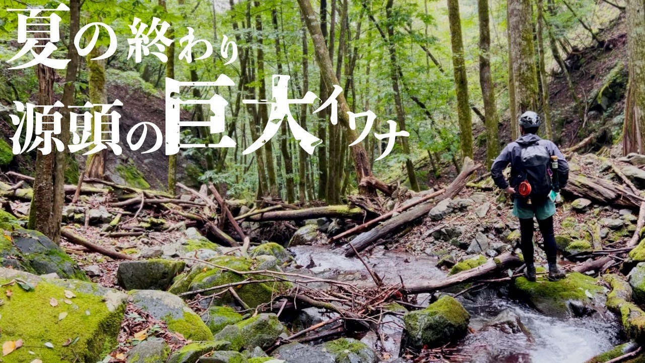 最源流でヨンマル大イワナを釣る