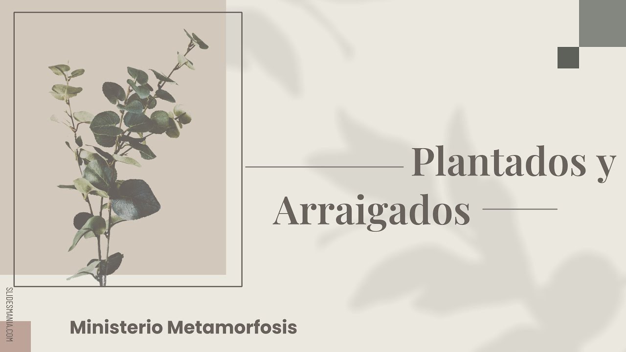 Plantados y Arraigados