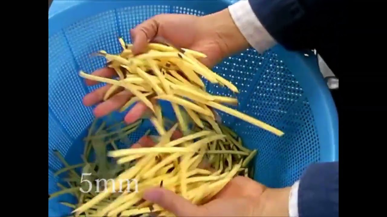 DC 202X Sweet potato sticks 2D 3mm 5mm 10mm