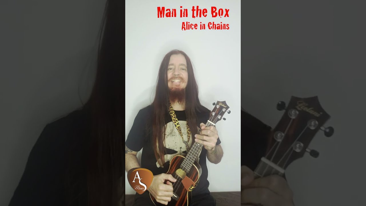 Ukulele Rock   