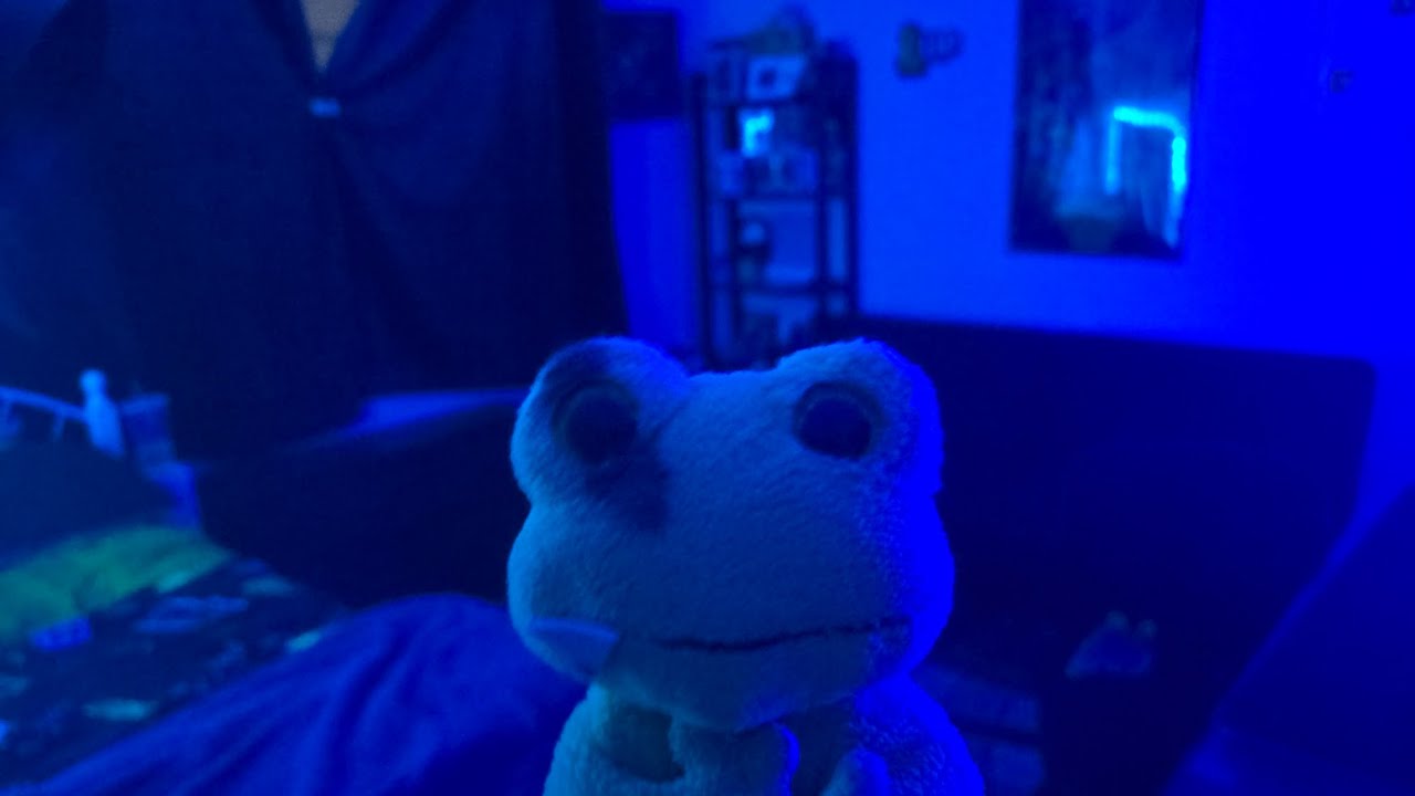 SJJ Video: Room Tour 2026