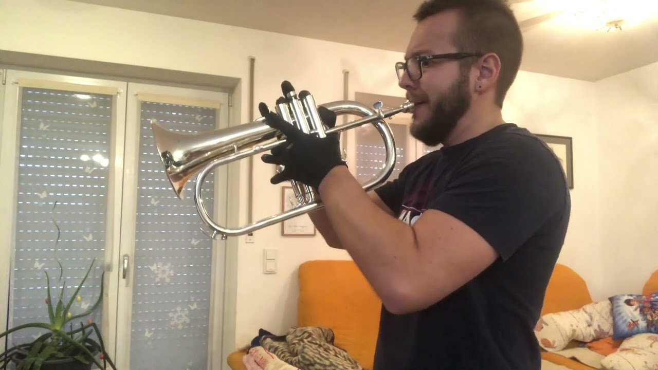Du kannst nicht immer 17 sein on Flügelhorn/Trumpet by Matthias Griesbeck