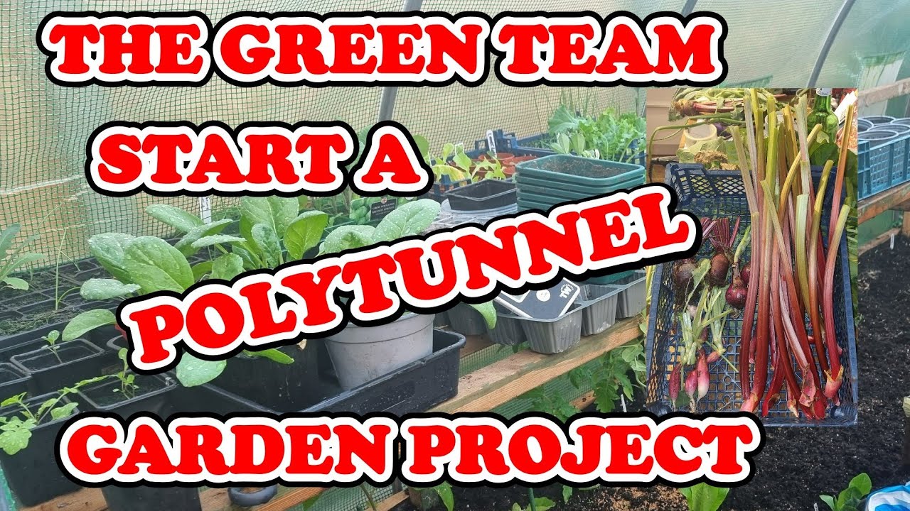 Starting a Polytunnel Garden Project in 2024?