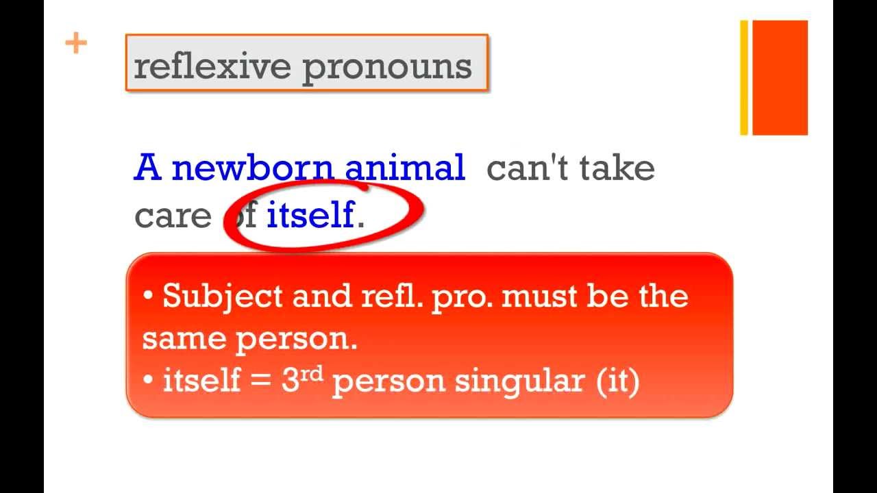 Perfect English: Reflexive Pronouns