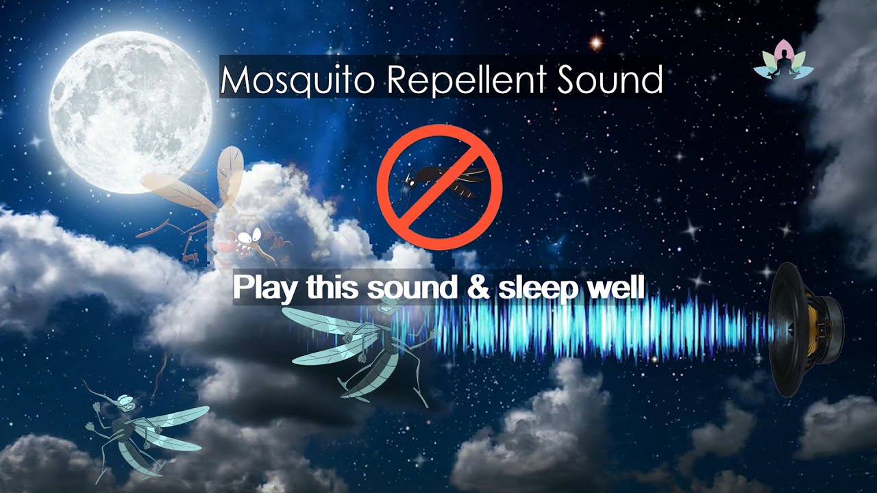 Mosquito Repellent Sound Frequency - anti mosquito sound