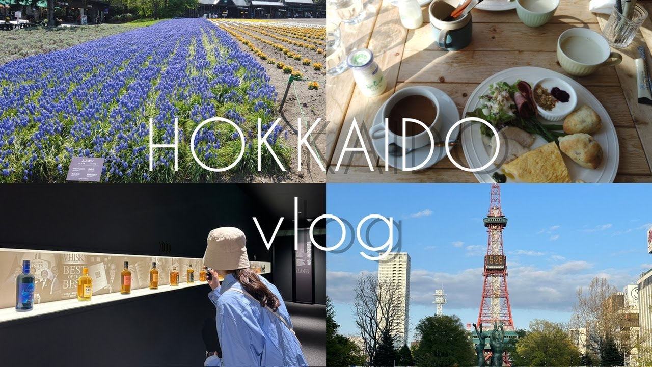 [旅vlog]北海道旅行 札幌/小樽/富良野の2泊3日ドライブ旅| 観光/カフェ/ご飯美味しいところ巡り☕️🍦