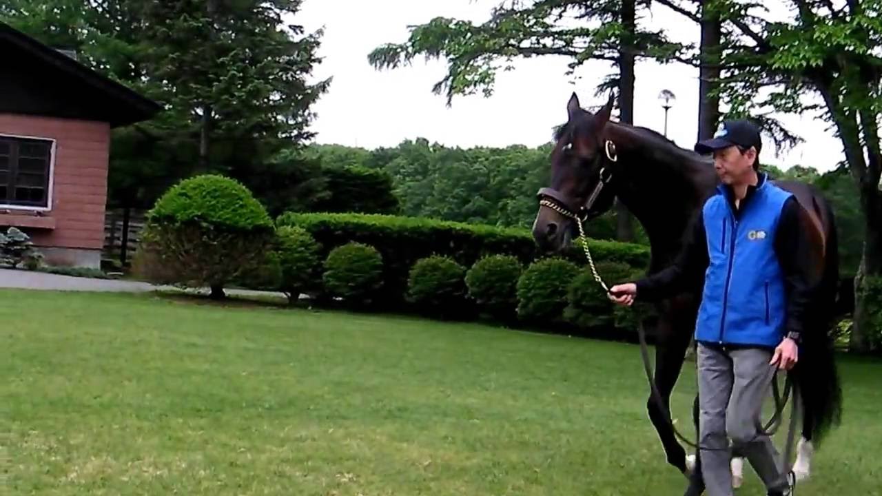 ディープインパクト