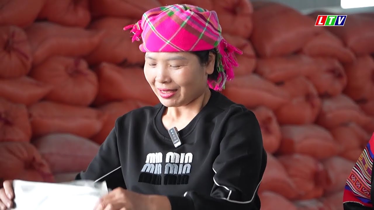 Tin tức thời sự Lai Châu trưa, ngày 24/02/2026