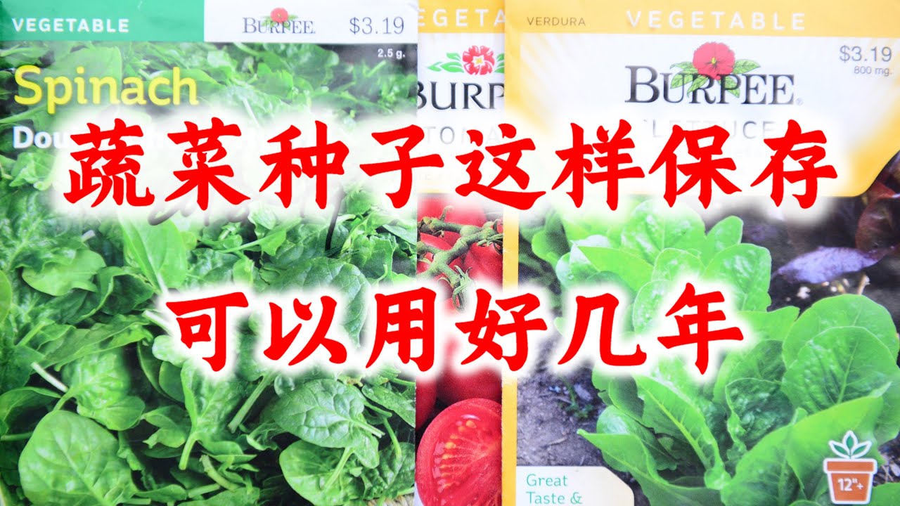 蔬菜种子这样保存，可以用好多年！