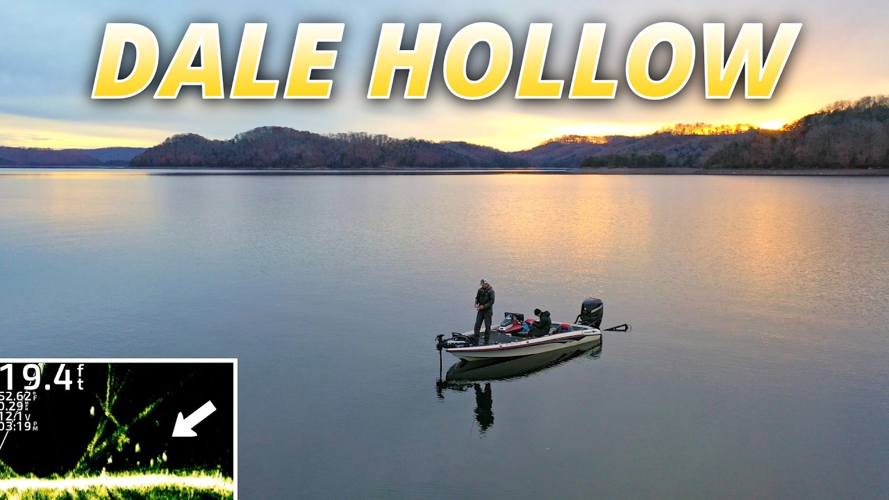 Chasing Winter Bass at Dale Hollow Lake - LIVESCOPE FOOTAGE