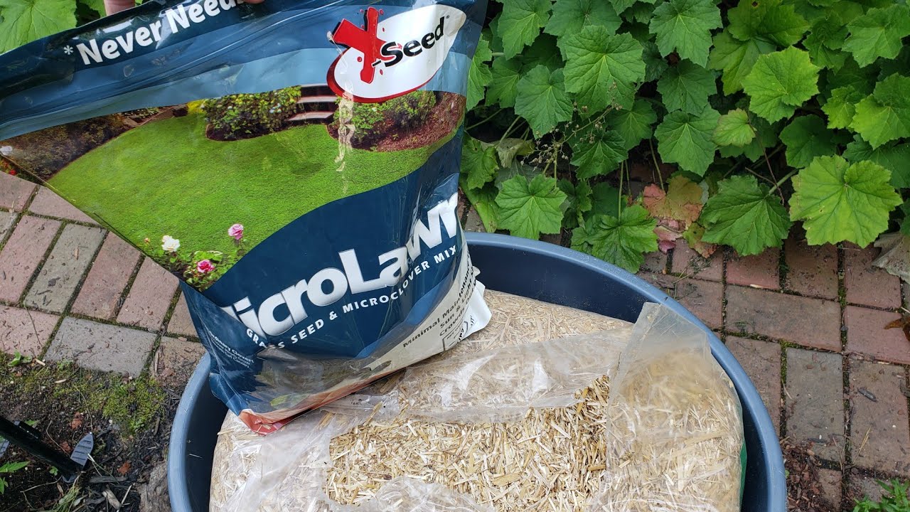 Review & Planting X-Seed Micro Clover Grass & Microclover in the Raised Bed Garden After Clean-up ☘🍀