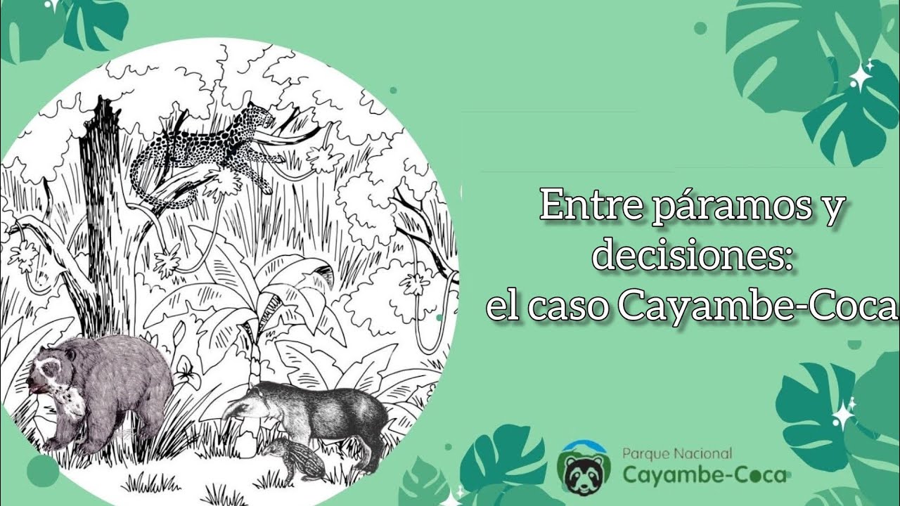 Lo que revela el caso Cayambe-Coca