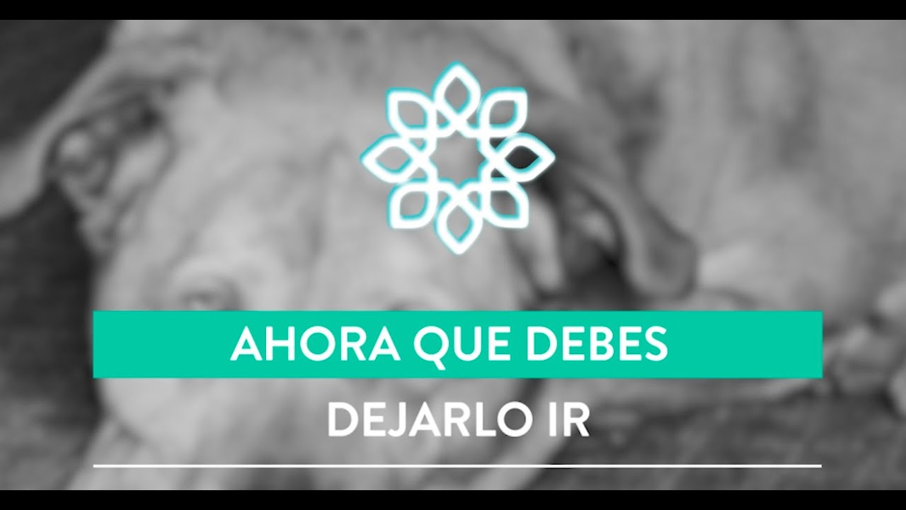 ¿Qué pasa con tu mascota cuando muere?