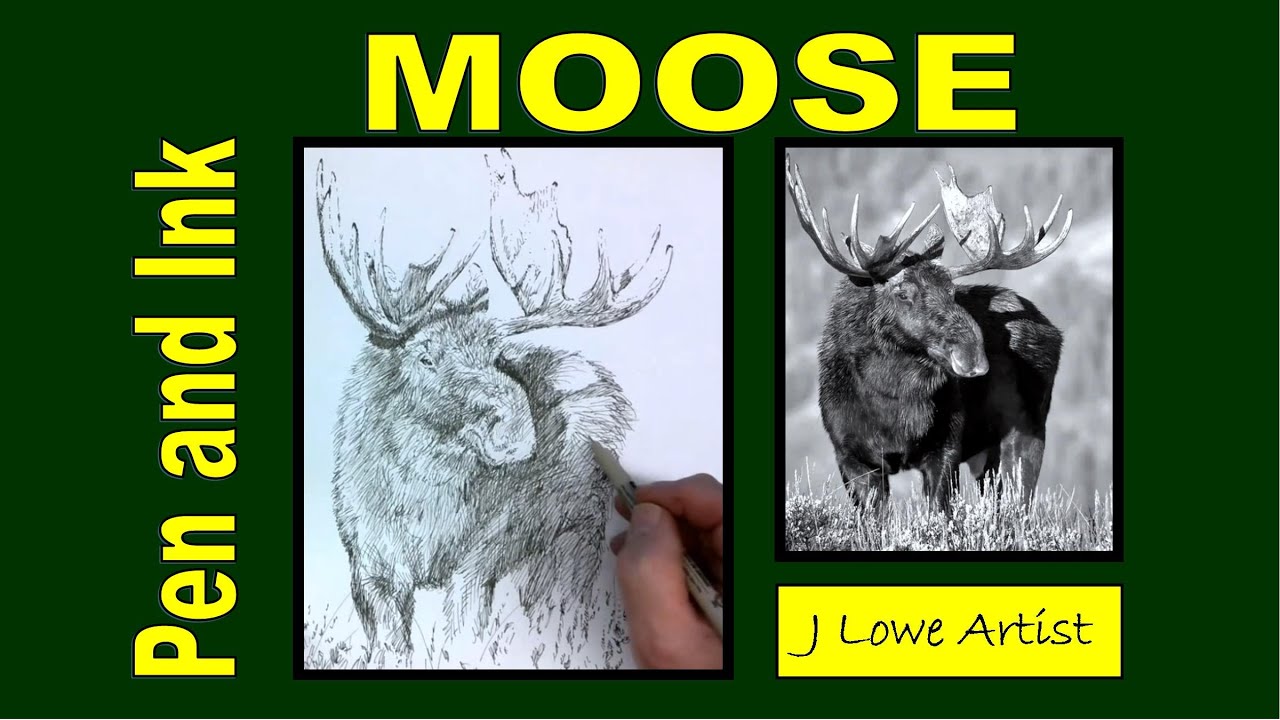 How to Draw a Moose with INK Step by Step