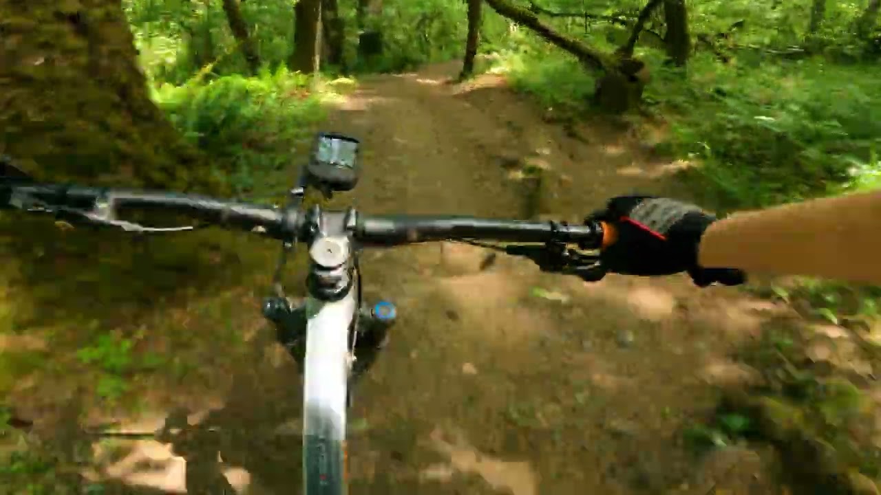 McDonald Dunn Forest: Lower Dan's Trail