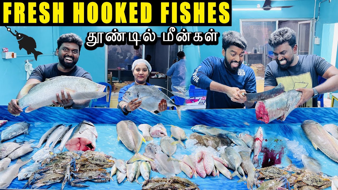 1000 Kgs of FRESH Hooked FISHES in Chennai - தூண்டில் மீன்கள் Daily - Deli Fish | DAN JR VLOGS