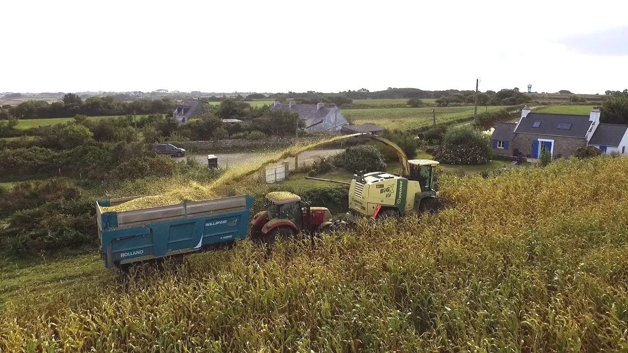ENSILAGE 2018 ETA D'HERVE EN BRETAGNE SILAGE BRITTANY