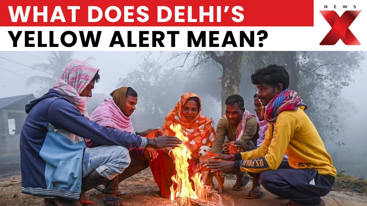 Yellow Alert in Delhi-NCR: NCR Freezes at Record Low 3 Degrees, Visibility Drops at IGI Airport