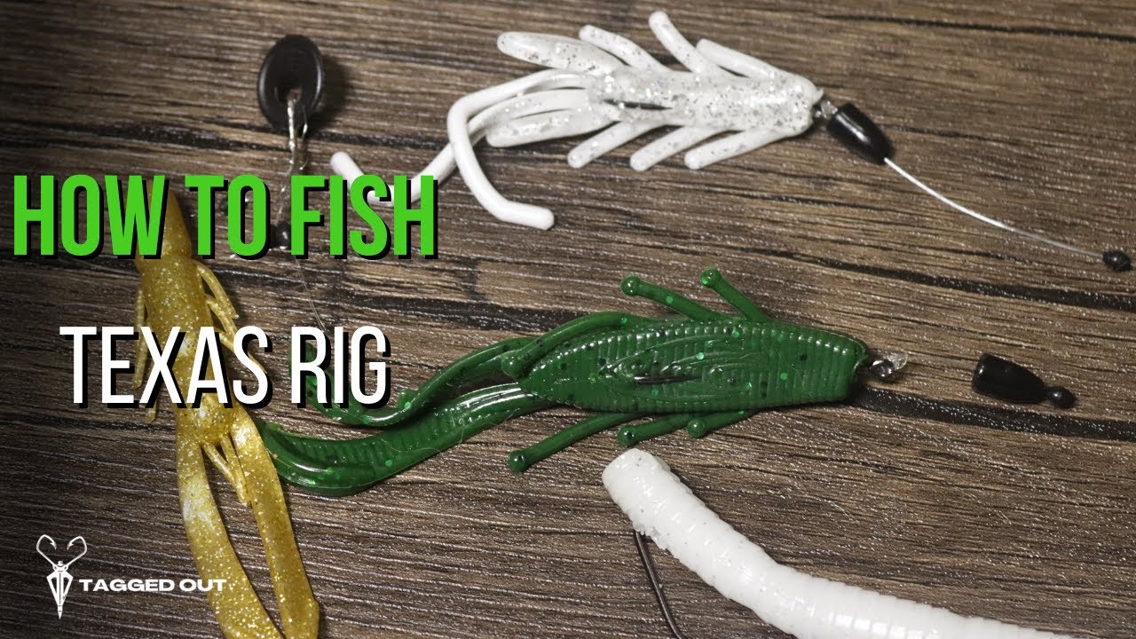 How to fish Texas rig | Underwater footage