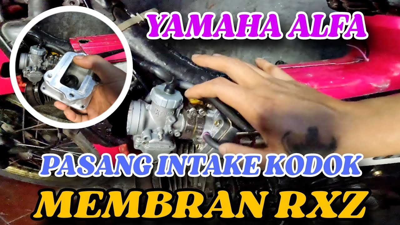 YAMAHA ALFA PAKAI INTAKE KODOK MEMBRAN RXZ | PERHATIKAN TIPS INI