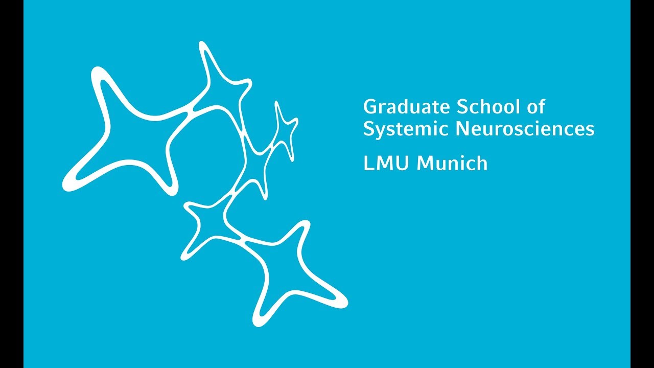 Getting to know the Graduate School of Systemic Neurosciences GSN-LMU