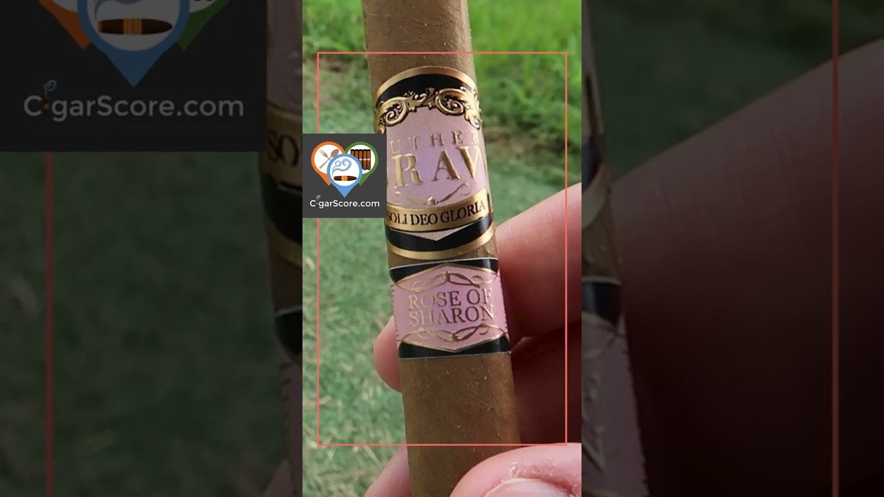 Southern Draw Rose of Sharon Lancero _ 90 Second Cigar Review #cigarscore #cigar #cigars #shorts